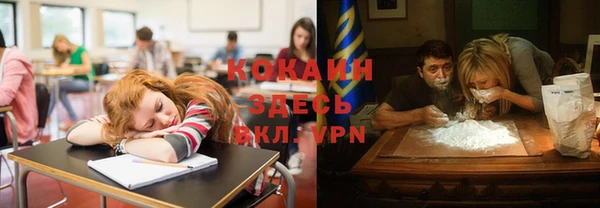 крисы Армянск