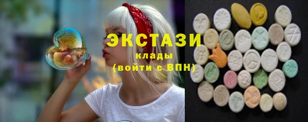 крисы Армянск