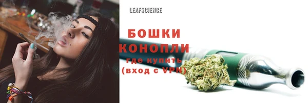 мдпв Ступино