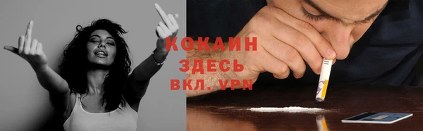 крисы Армянск