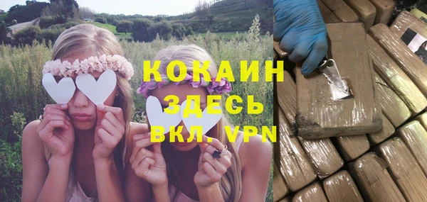 крисы Армянск