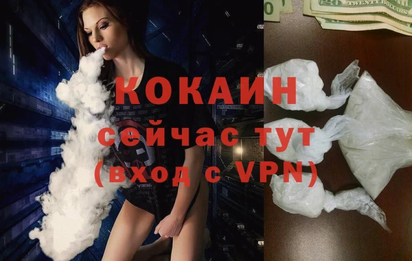гидра Аркадак