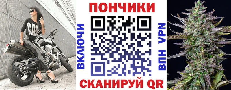 Марихуана сатива  как найти закладки  Южно-Сухокумск 